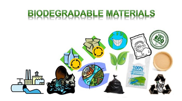 What Is Difference Between Degradable And Biodegradable ...