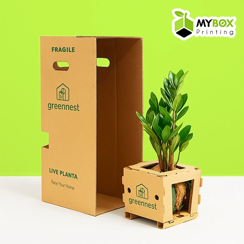 plant-subscription-boxes
